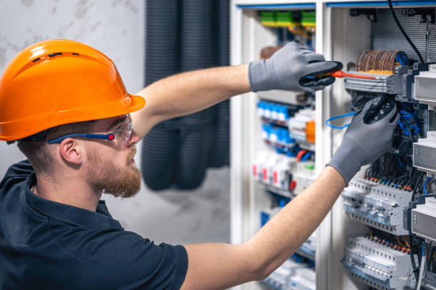 Best Electric Panel Repair  in Ransomville, NY